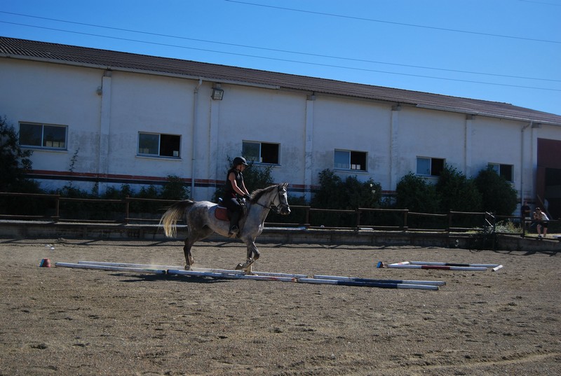Zolina acogió el Campeonato Navarro Trec 2017